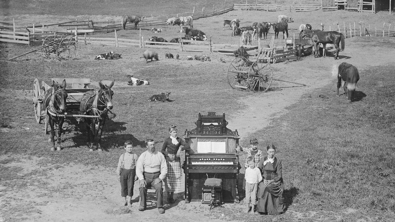 The Introduction of the Right to Acquire Land Ownership in the United States under the Homestead Act